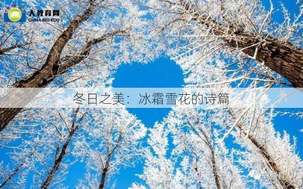 冬日之美:冰霜雪花的诗篇