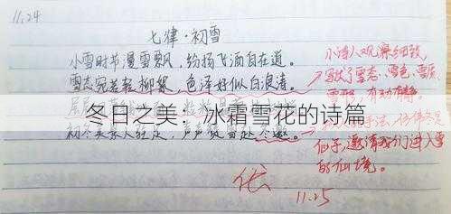 冬日之美:冰霜雪花的诗篇