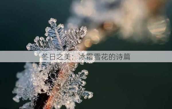 冬日之美:冰霜雪花的诗篇