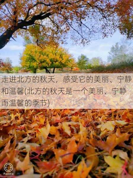北方的秋天什么样_北方的秋天怎么形容
