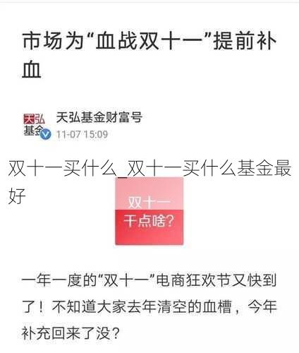 双十一买什么_双十一买什么基金最好